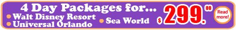 4 Day Packages for $299.00