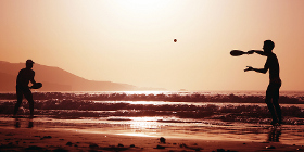Beach Bat Beach Bat