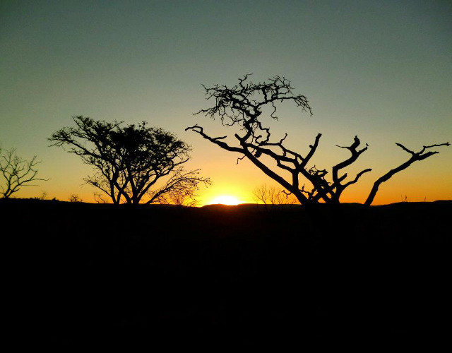 Beautiful African Sunset