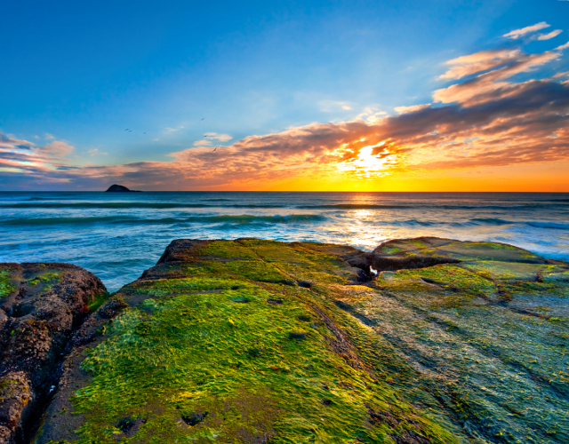 Auckland Sunset
