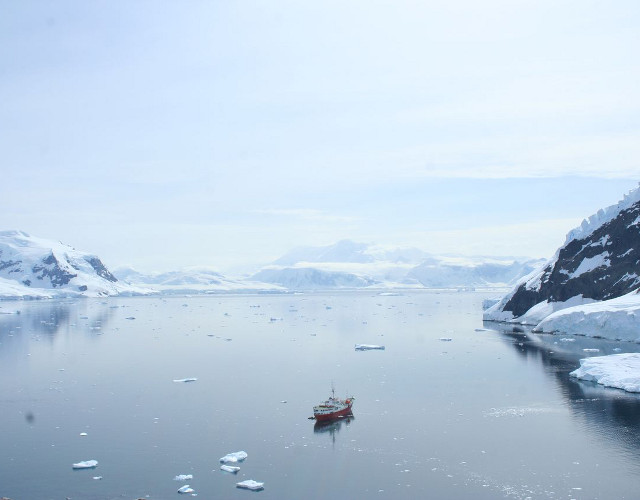 Neko Harbour, Antarctica