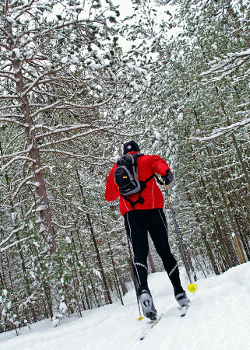Ski Through Trees Wear a Helmet