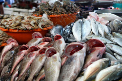 Mina Fish Market Mina Fish Market