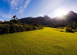 Kirstenbosch-Botanical Gardens