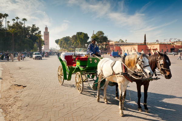  - marrakech-caleche-trip