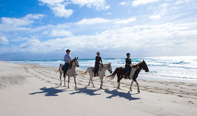 Pakiri Horse Riding Pakiri Horse Riding