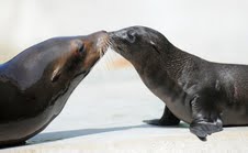 Tierpark Hellabrunn Tierpark Hellabrunn