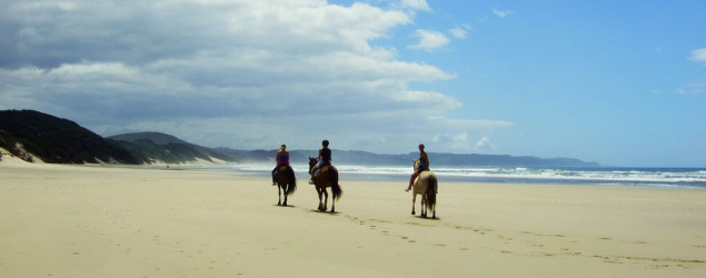 Buccaneers Backpackers, Chintsa