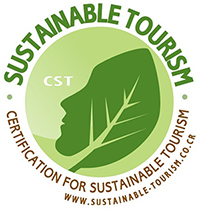 CST Logo