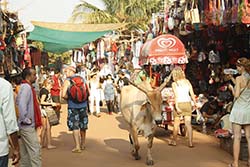 Anjuna Market Anjuna Market