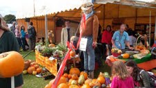Pumpkin Festivities Pumpkin Festivities