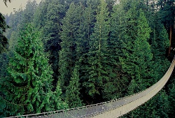 Capilano Suspension Bridge Capilano Suspension Bridge