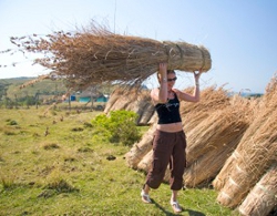 Traditional Lifestyle