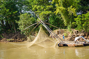 Local Fisherman