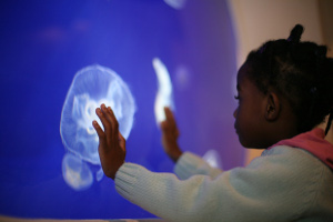 Young Girl At The Horniman Aquarium