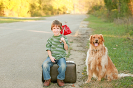 UK Dog Friendly Destinations UK Dog Friendly Destinations