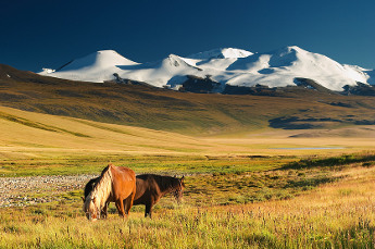 Isolation In Mongolia