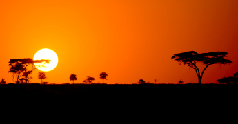 Tanzania Sunset