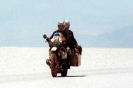 Bearback - The World Overland