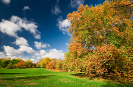 Top 10 Places in Autumn Autumn Tress