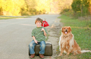 UK Dog Friendly Destinations