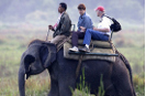Safari Group