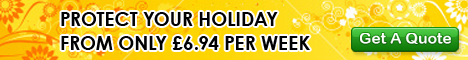 campaign banner