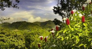 Eco-Destination Costa Rica