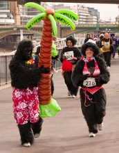 The Gorilla Run