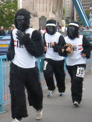 Charity Run