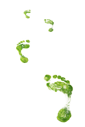 Green Footprints