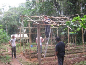 Gap year students farming