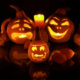 Pumpkins for Halloween