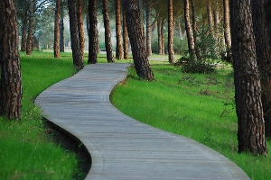 Parque Nacional Donana in Seville