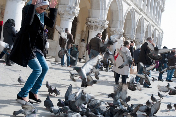 Woman and pigeons in Venice