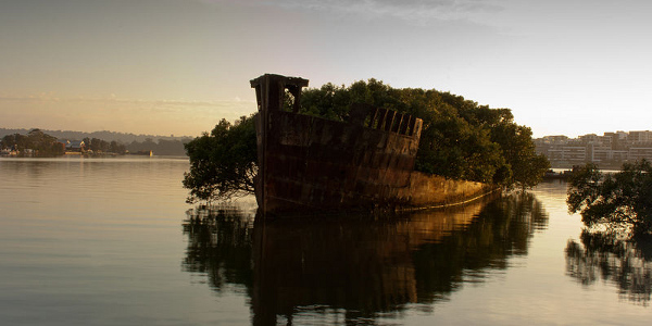 The SS Ayrfield Shipwreck