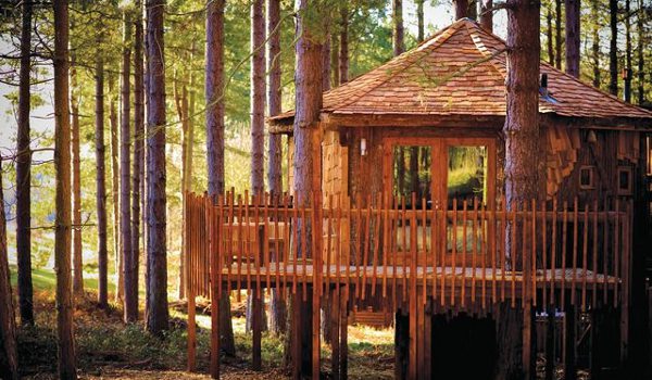 Tree House Holidays