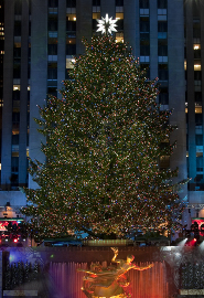 Rockefeller Centre Rockefeller Christmas tree