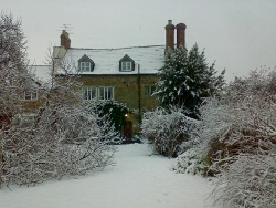 Welsh Christmas The Wilton