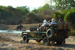 A Game Drive in Zambia A Game Drive in Zambia
