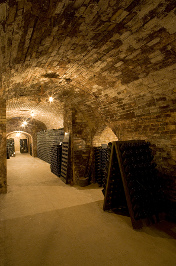 Champagne Winery
