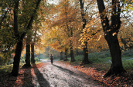 Top 10 Public Parks In The UK UK Park